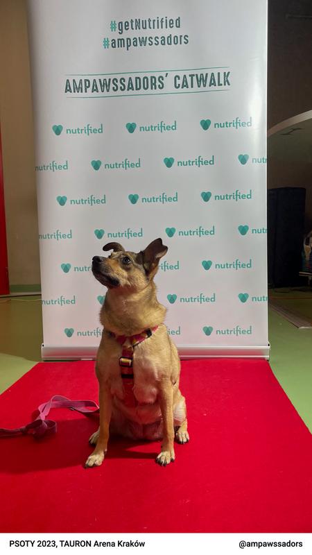 IMG 4102