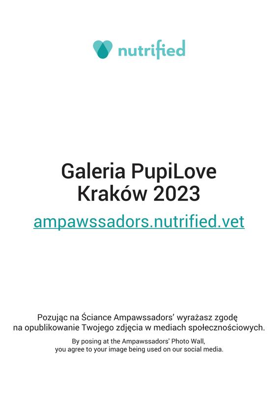 PRINT2 GalleryKRK